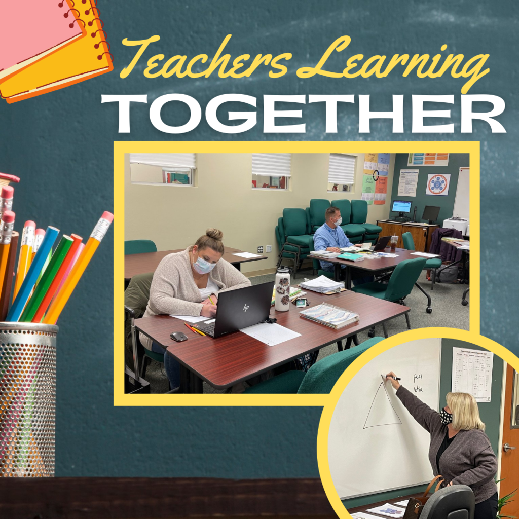 Teachers Learning Together