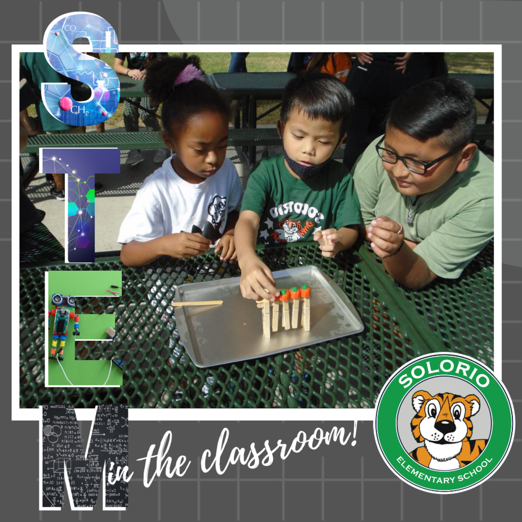 Stem in the Classroom