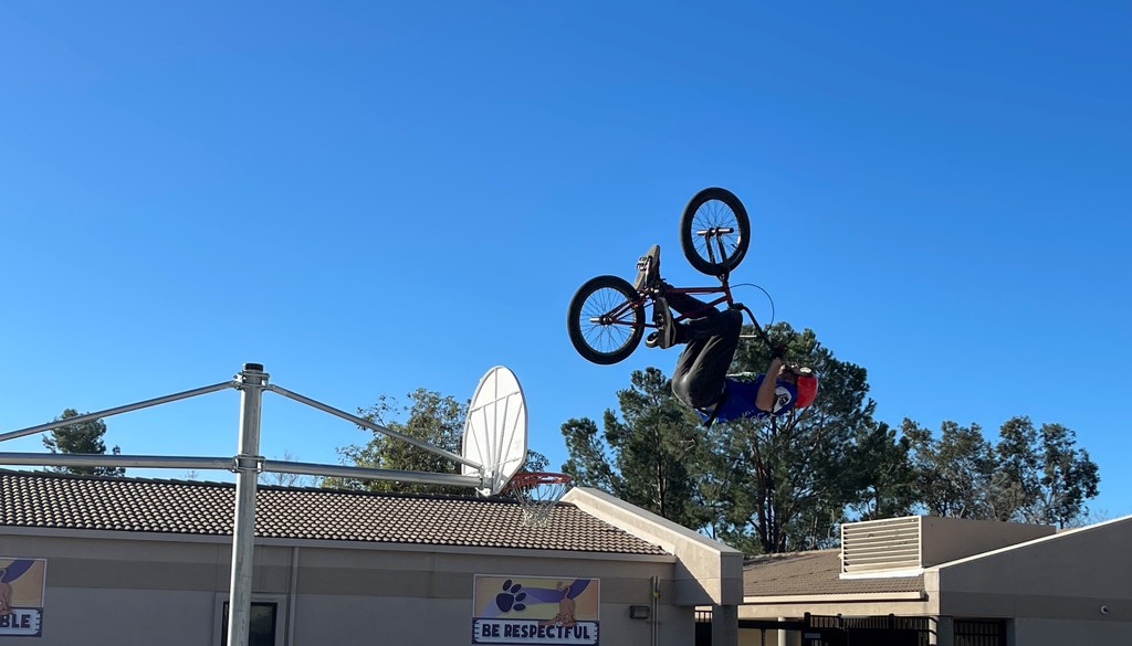 BMX Tricks
